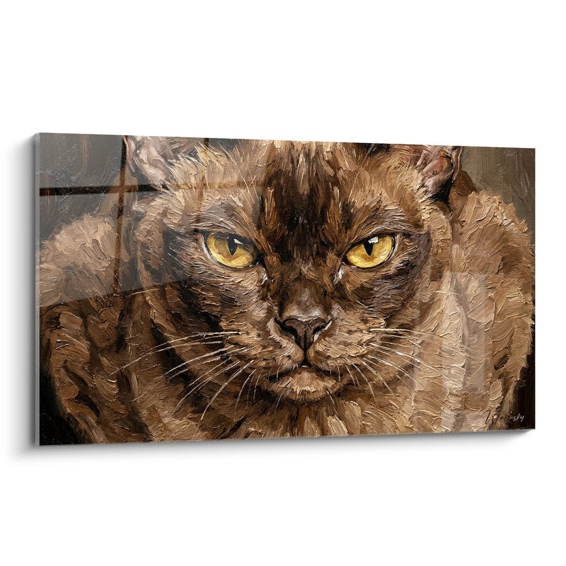 Tabella Chat Birmano Regard Dorato - Intensità Felina - Edizione chat Birmano