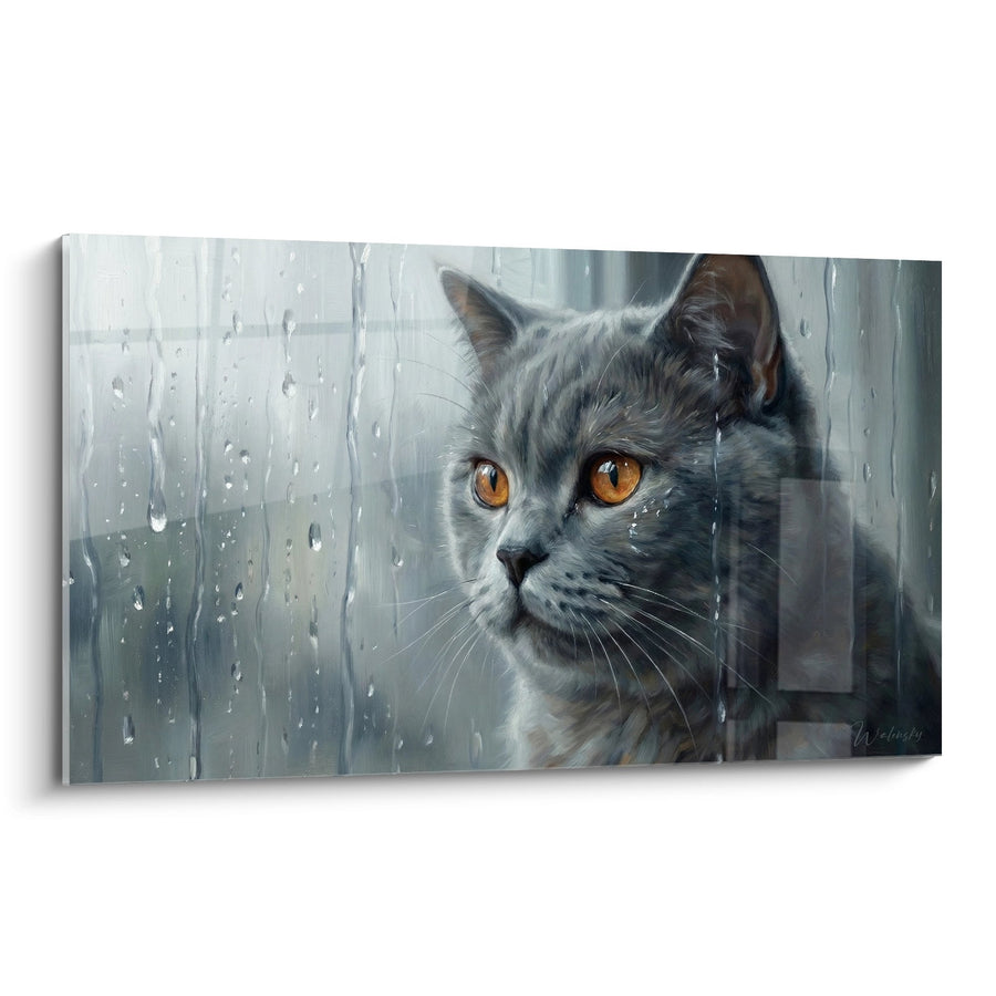 Tableau chat British shorthair sous la pluie - Regard mélancolique - Edition chat British shorthair