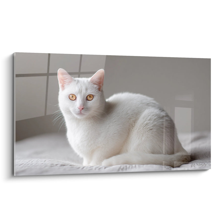 Tableau Chat Burmilla Blanc aux Yeux Dorés - Élégance Féline - Edition chat Burmilla