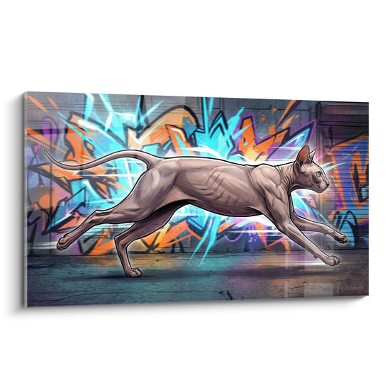 Cuadro Gato Peterbald Street Art - Felino Urbano - Edición gato Peterbald