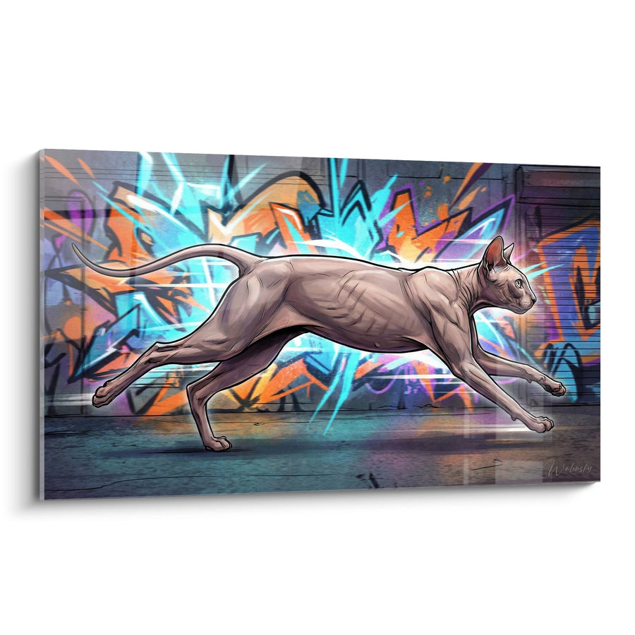 Tableau Chat Peterbald Street Art - Félin Urbain - Edition chat Peterbald