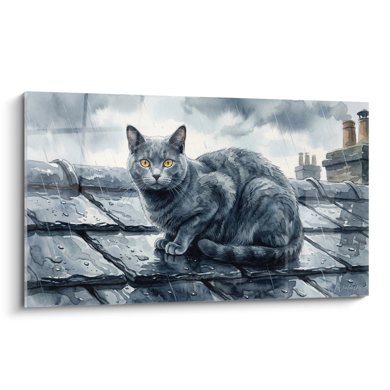 Tableau Chat Chartreux sous la pluie sur les toits - Refuge urbain - Edition chat Chartreux