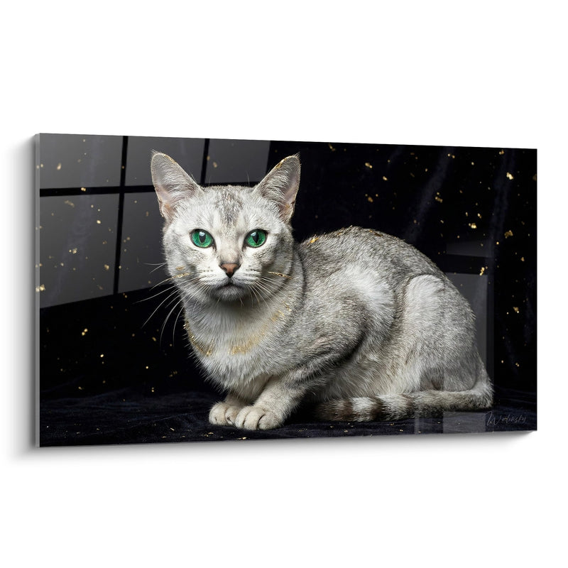 Tableau Chat Burmilla Majestueux - Regard Emeraude Enchanteur - Edition chat Burmilla