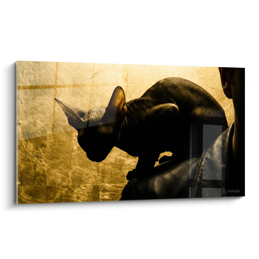Tableau Cornish Rex Silhouette - Lumière Dorée - Edition chat Cornish Rex