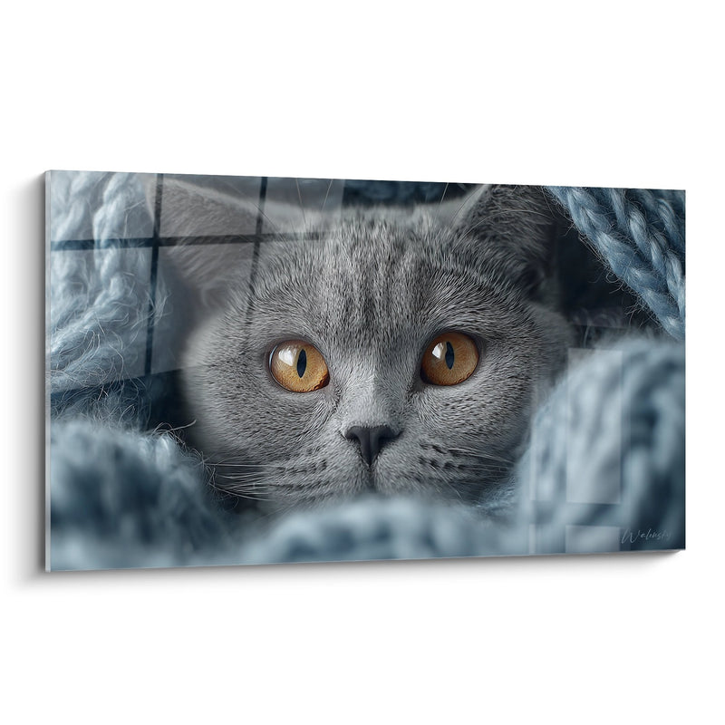 Tabella Chat British Shorthair Grigia - Sguardo Dorato nella Lana - Edizione gatto British Shorthair
