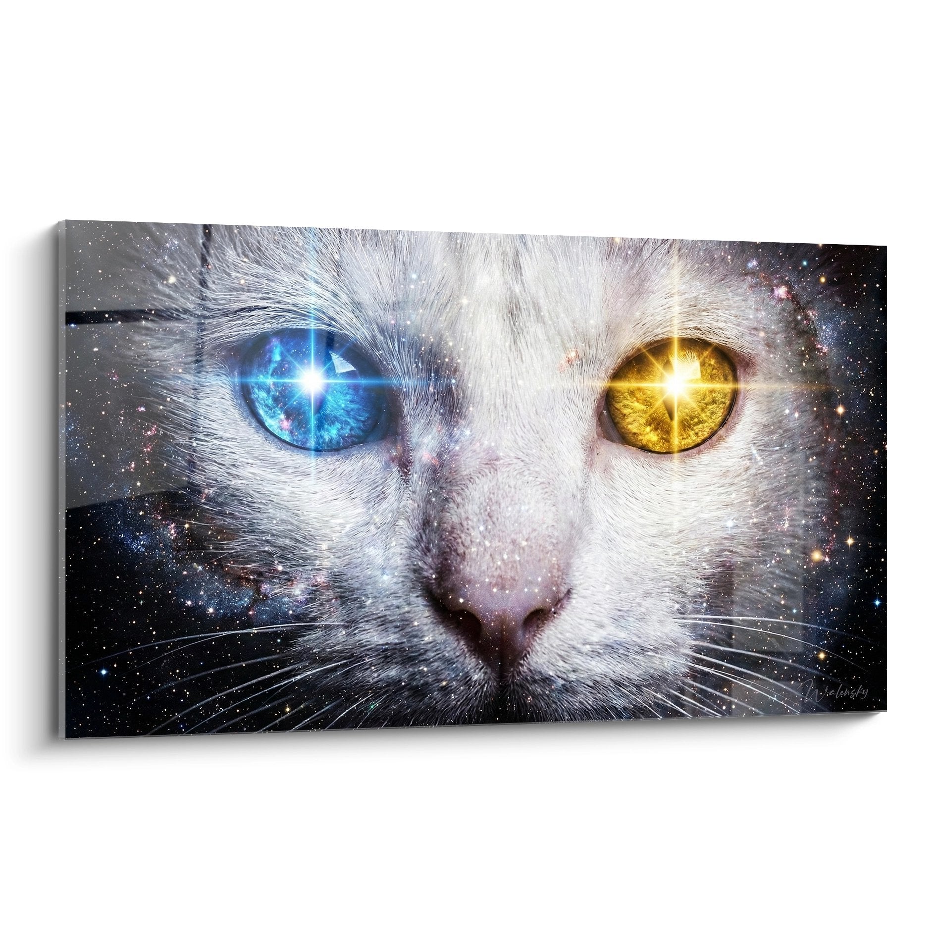 Tableau chat Khao Manee aux yeux cosmiques bleu et dore sur fond etoile, art mural felin moderne