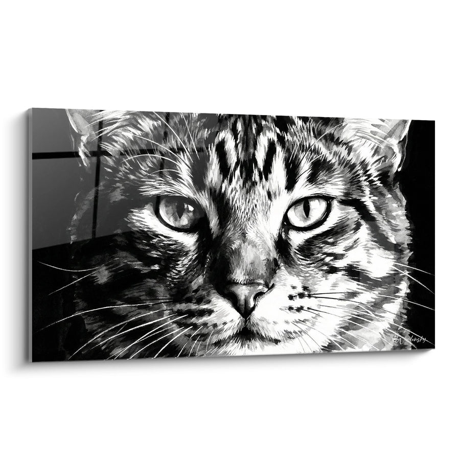 Tableau Portrait Chat Noir et Blanc - Regard Perçant - Edition chat American Bobtail