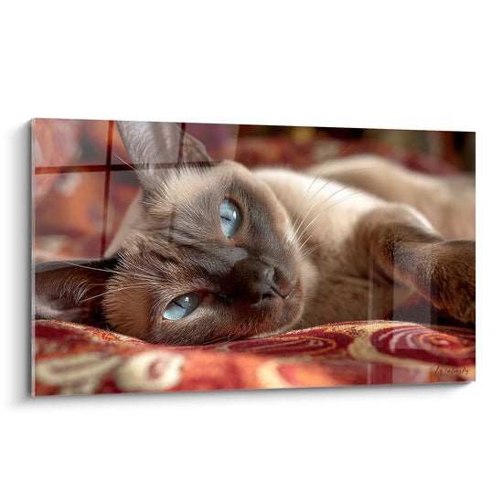 Schilderij Siamese Kat met Blauwe Ogen - Betoverende Blik - Siamese kat Editie