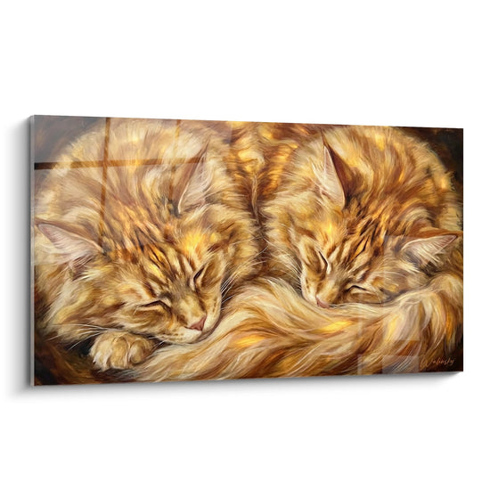 Schilderij Maine Coon Slaapt - Kattenzachtheid - Editie Maine Coon kat