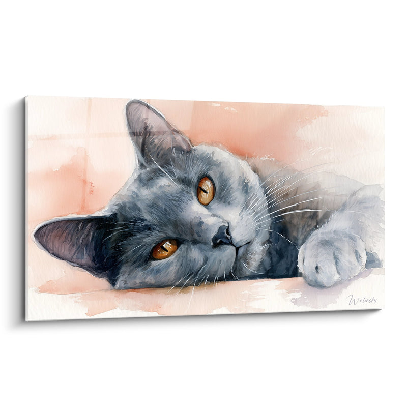 Tableau Chat Chartreux Allongé - Regard Ambré - Edition chat Chartreux