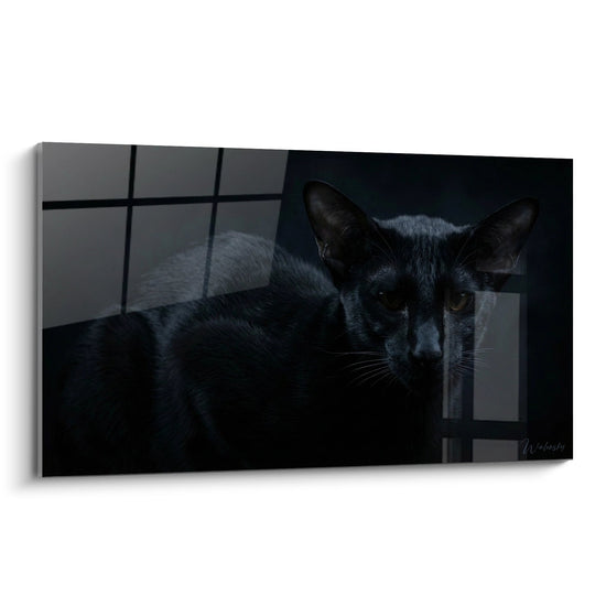 Cuadro Gato Oriental Negro en la Sombra - Misterio Felino - Edición gato Oriental Shorthair