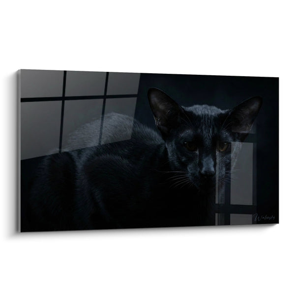 Cuadro Gato Oriental Negro en la Sombra - Misterio Felino - Edición gato Oriental Shorthair