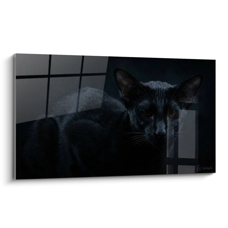 Tableau Chat Oriental Noir dans l'Ombre - Mystère Félin - Edition chat Oriental Shorthair