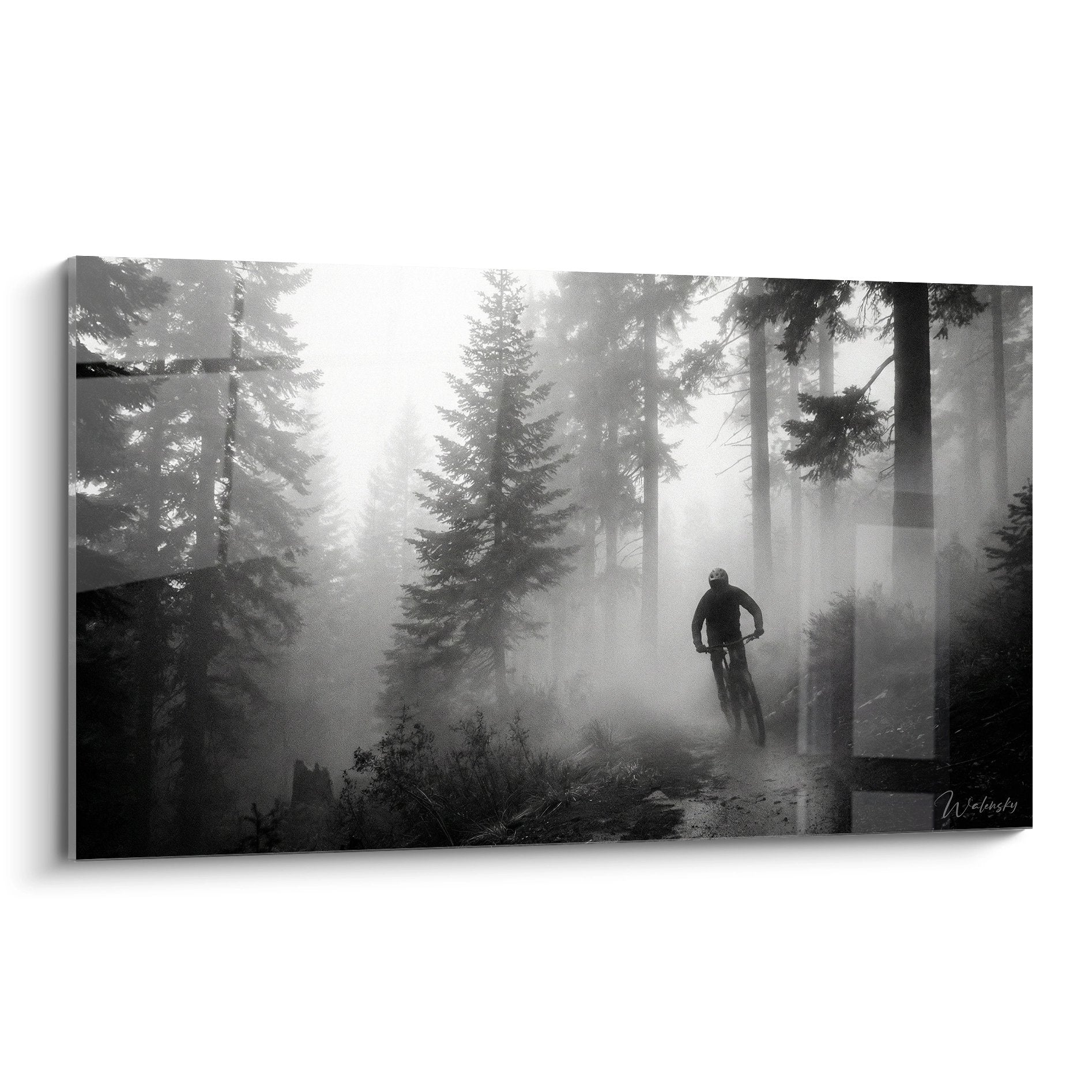Tableau noir et blanc VTT montrant un cycliste dans une forêt brumeuse avec rayons de lumière filtrant