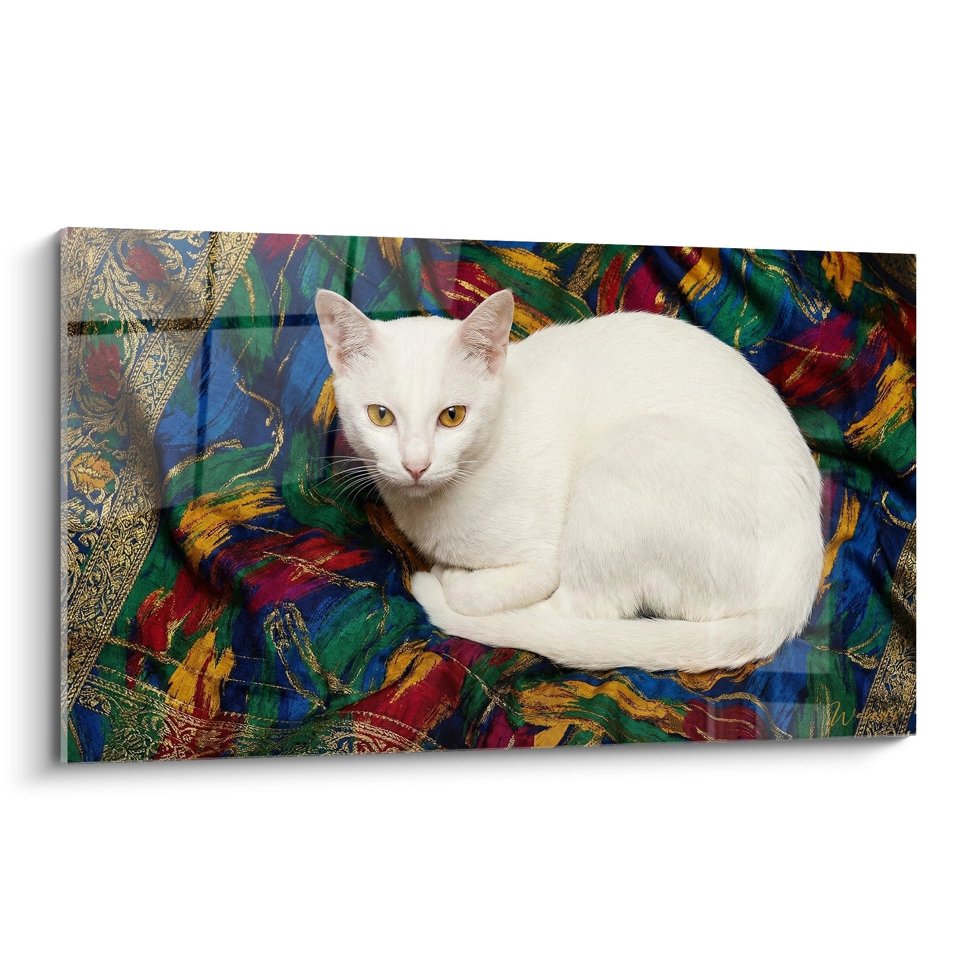 Tableau mural chat blanc aux yeux dores pose sur tissu oriental colore bleu rouge or decoration Khao Manee