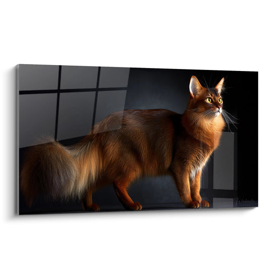 Tabella Chat Somali Elegante - Luce Dorata - Edizione chat Somali