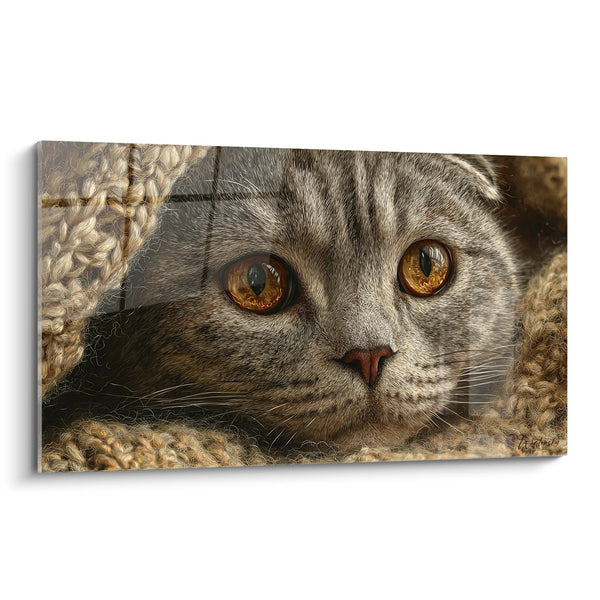 Cuadro Gato Scottish Fold Gris de Ojos Dorados - Mirada Cautivadora - Edición gato Scottish Fold