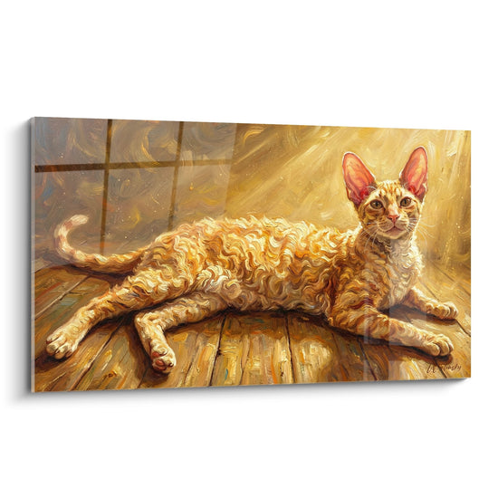 Schilderij Maine Coon Kat Goudkleurig in het Zonnige Licht - Ochtendlicht - Editie Maine Coon