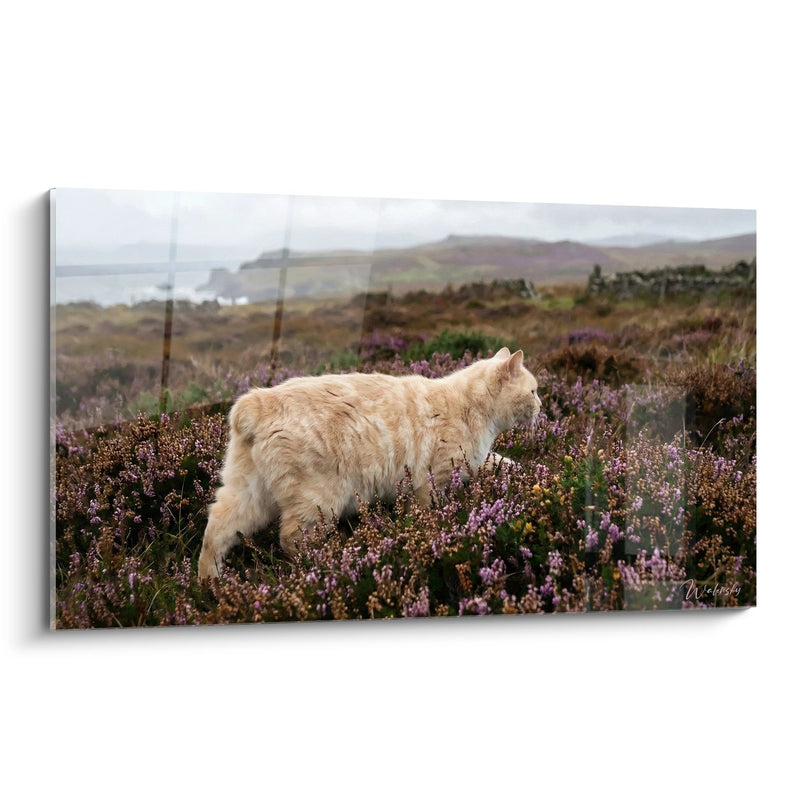 Tabella Chat Manx nella Brughiera - Serenità Selvaggia - Edizione chat Manx