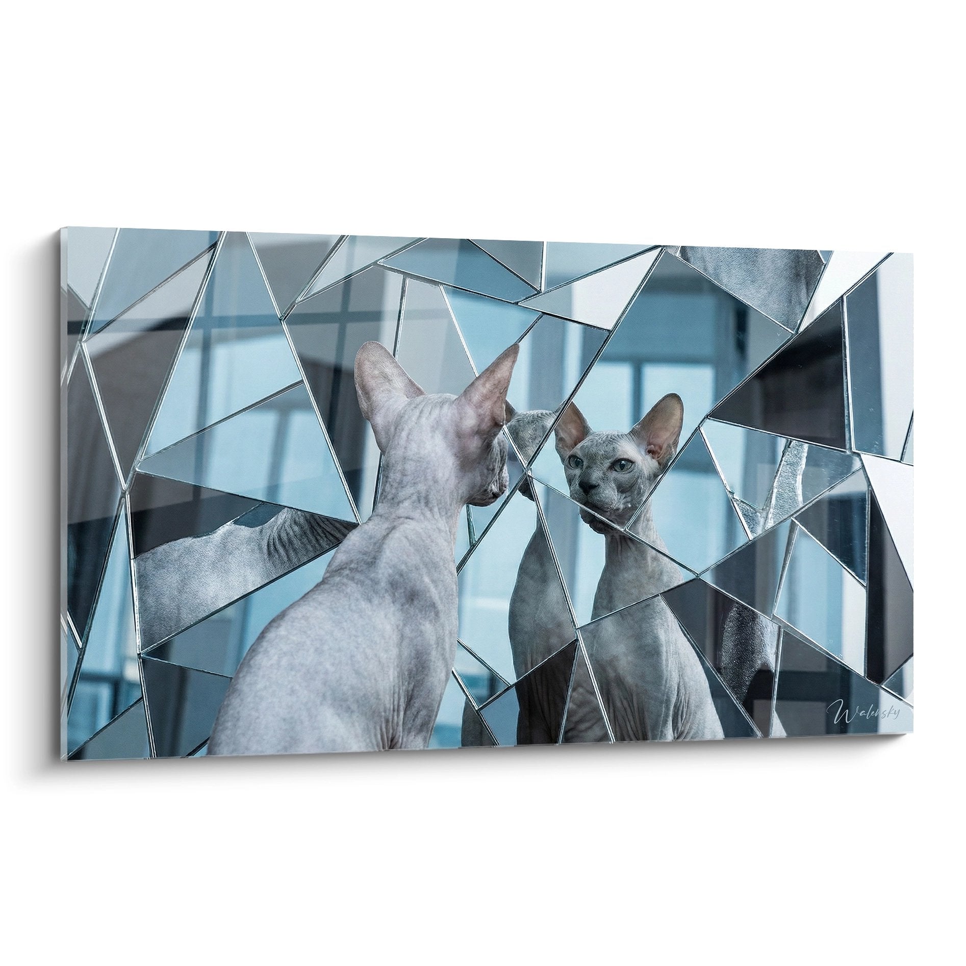 Tableau moderne chat Peterbald reflété dans miroir brisé effet fragmenté art mural contemporain