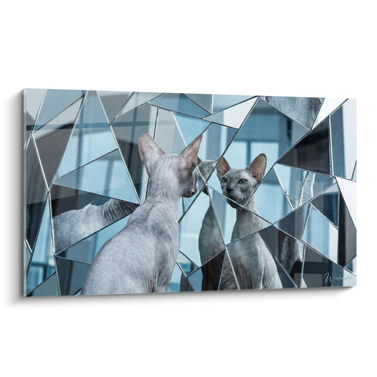 Cuadro Gato Peterbald Espejo Roto - Reflejos Fragmentados - Edición gato Peterbald
