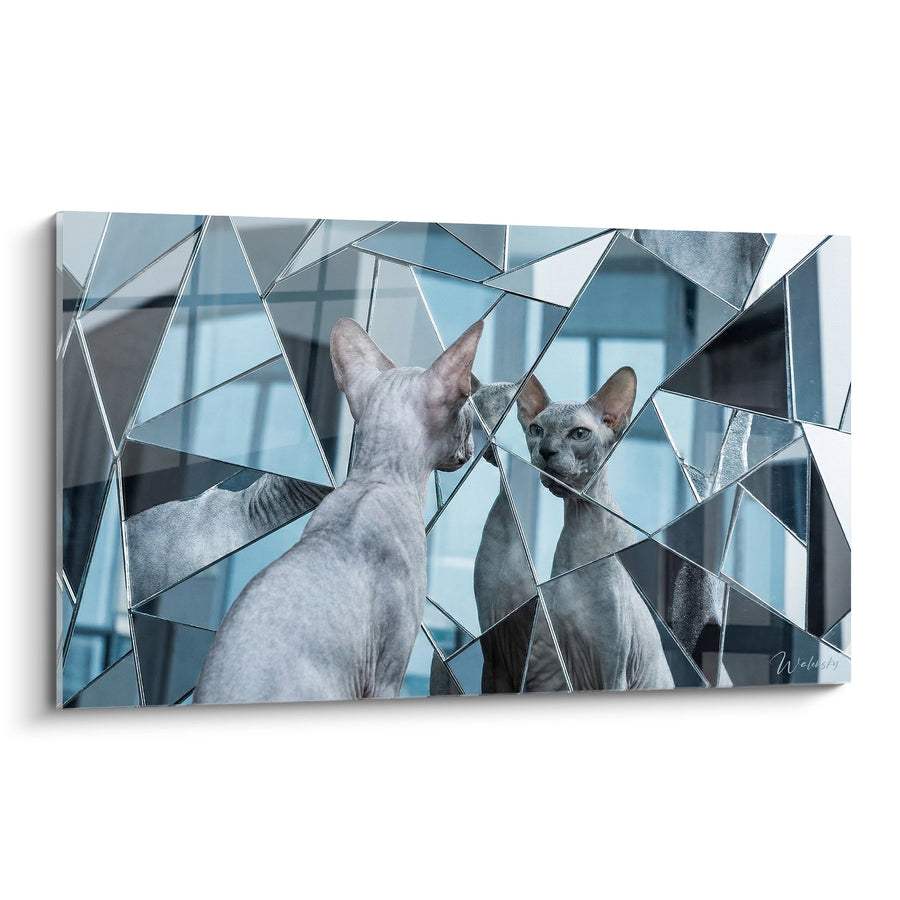 Tableau Chat Peterbald Miroir Brisé - Reflets Fragmentés - Edition chat Peterbald
