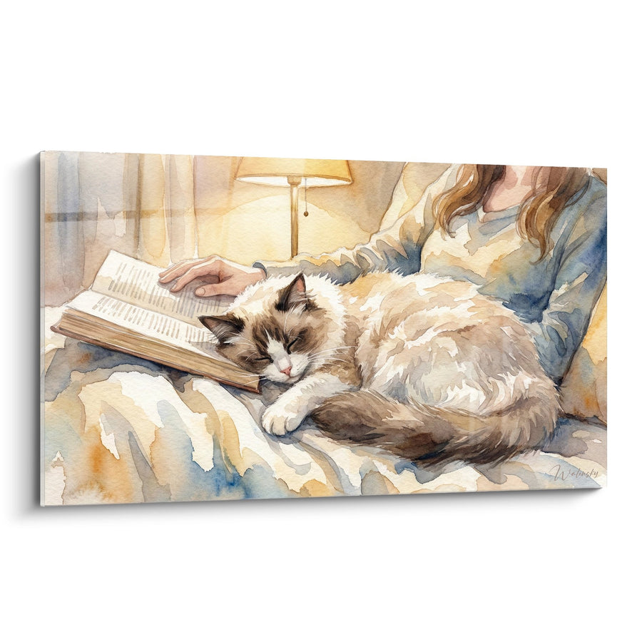 Tableau Chat Ragdoll Lecture - Moment de Tendresse Littéraire - Edition chat Ragdoll