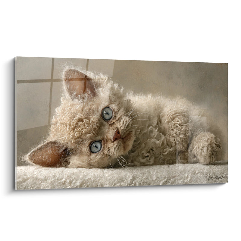 Gemälde Schlafende Selkirk Rex Katze - Lockige Sanftheit - Selkirk Rex Katzen Edition