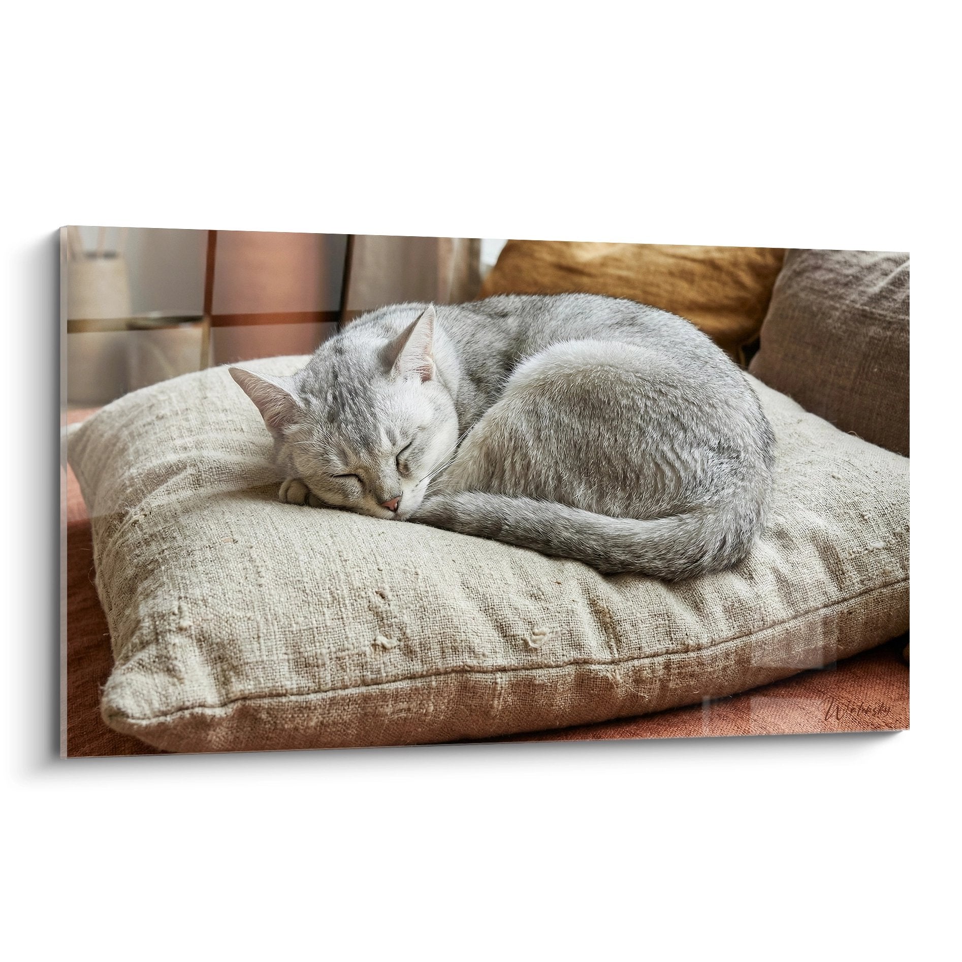 Tableau chat Burmilla argenté endormi paisiblement sur coussin beige dans intérieur moderne et chaleureux