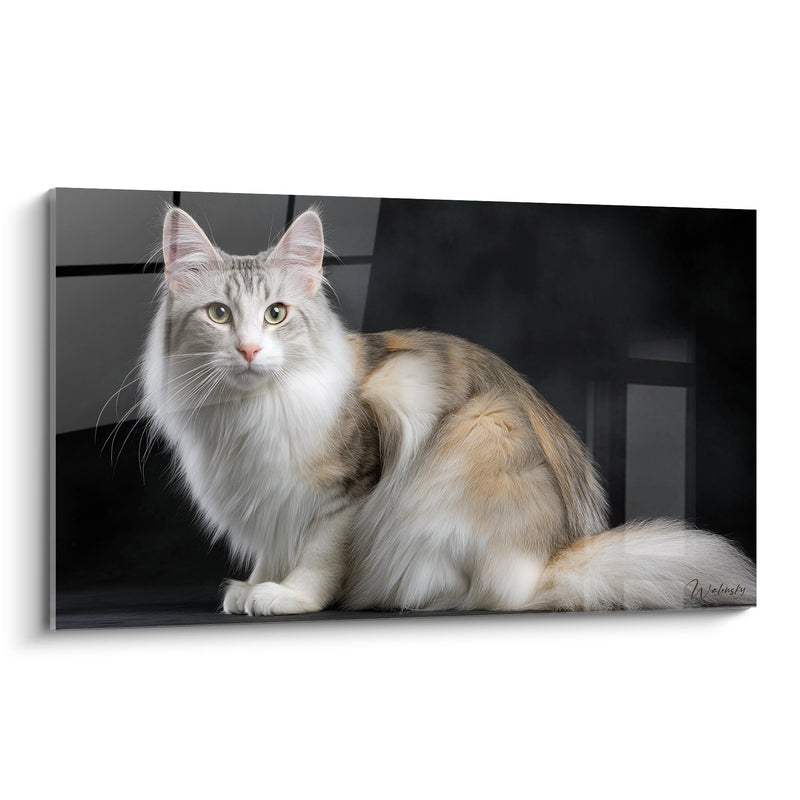Turkish Angora Cat Portrait Painting - Oriental Majesty - Turkish Angora Cat Edition