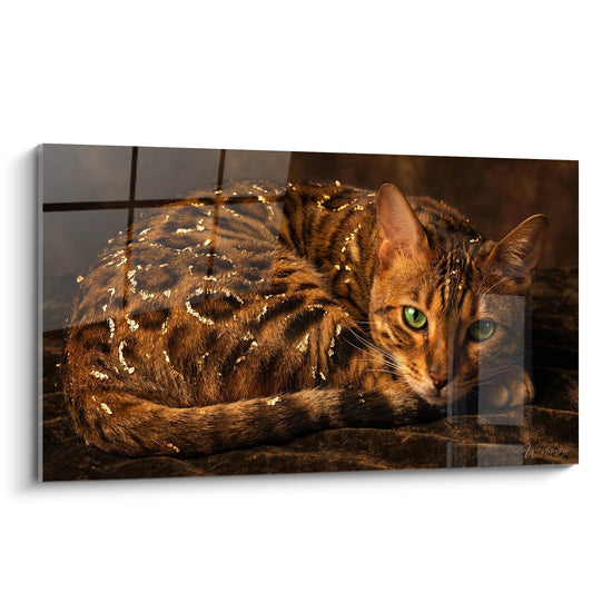 Schilderij Natte Bengaalse Kat - Wilde Schoonheid in de Regen - Bengaalse Kat Editie