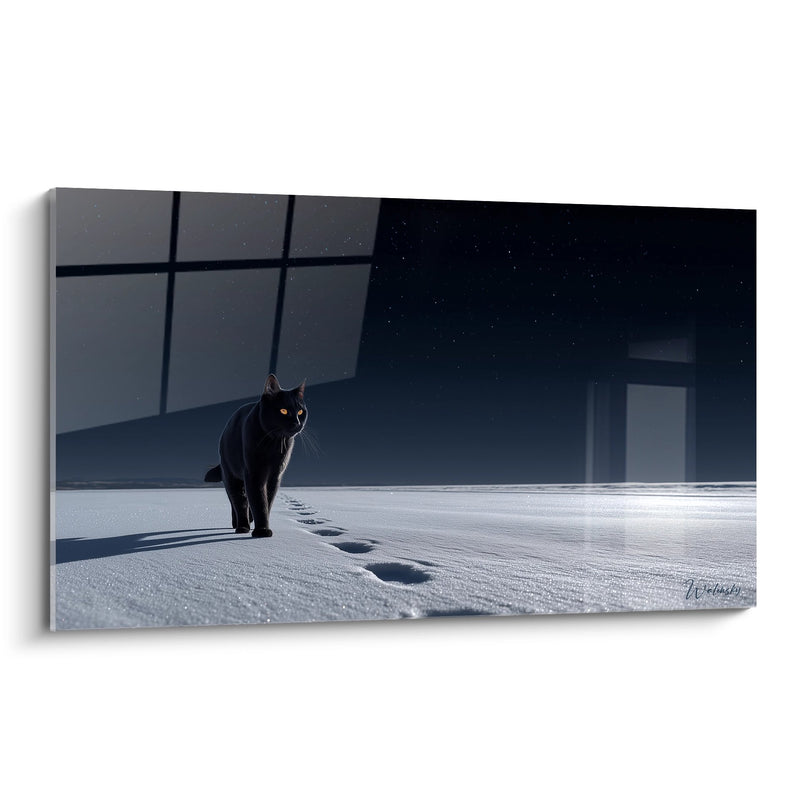 Tableau Chat Noir dans la Neige - Traces Mystérieuses - Edition chat European Shorthair