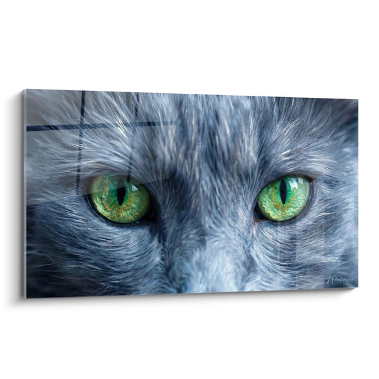 Cuadro Mirada Hipnótica Gato Nebelung - Ojos Esmeralda - Edición gato Nebelung