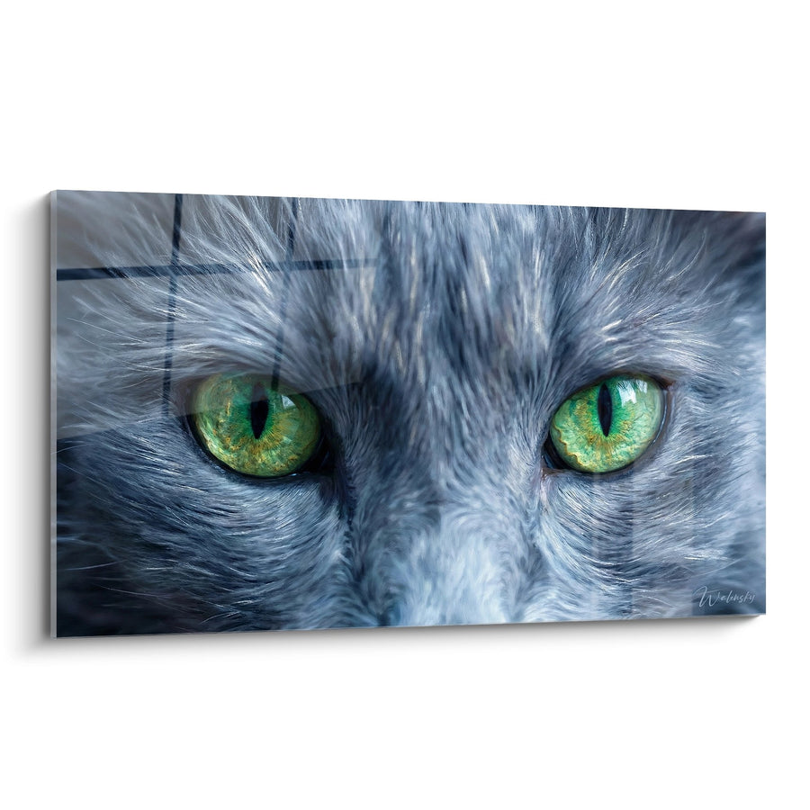 Tableau Regard Hypnotique Chat Nebelung - Yeux Emeraude - Edition chat Nebelung