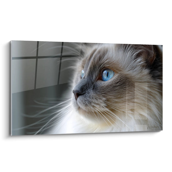 Portrait artistique d'un chat Birman aux yeux bleus perçants, pelage beige et crème, regard contemplatif sur fond moderne