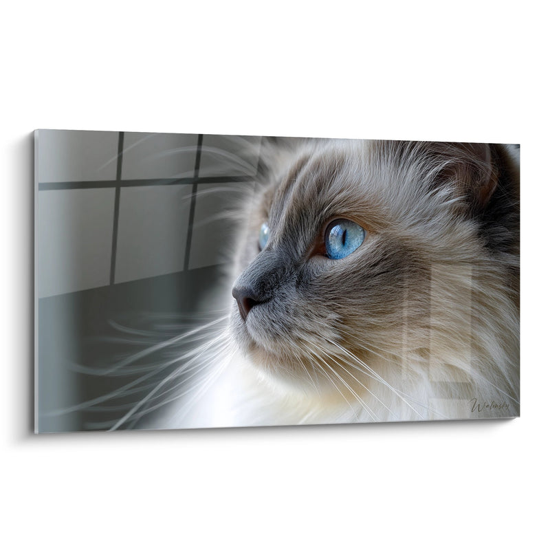 Birman Cat with Blue Eyes Painting - Mysterious Gaze - Birman Cat Edition