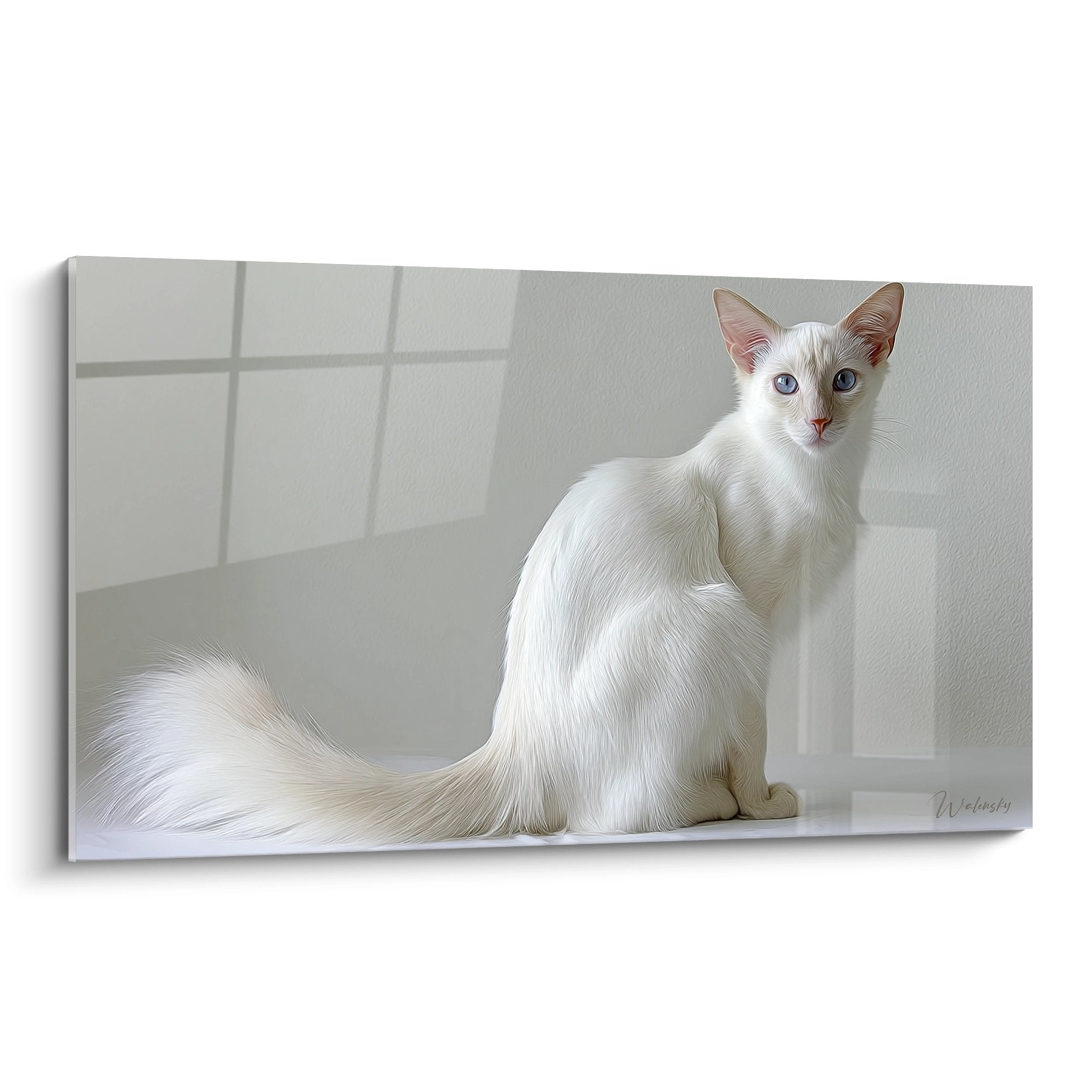 Tableau mural chat Balinais blanc aux yeux bleus en position assise, pelage soyeux, decoration feline elegante