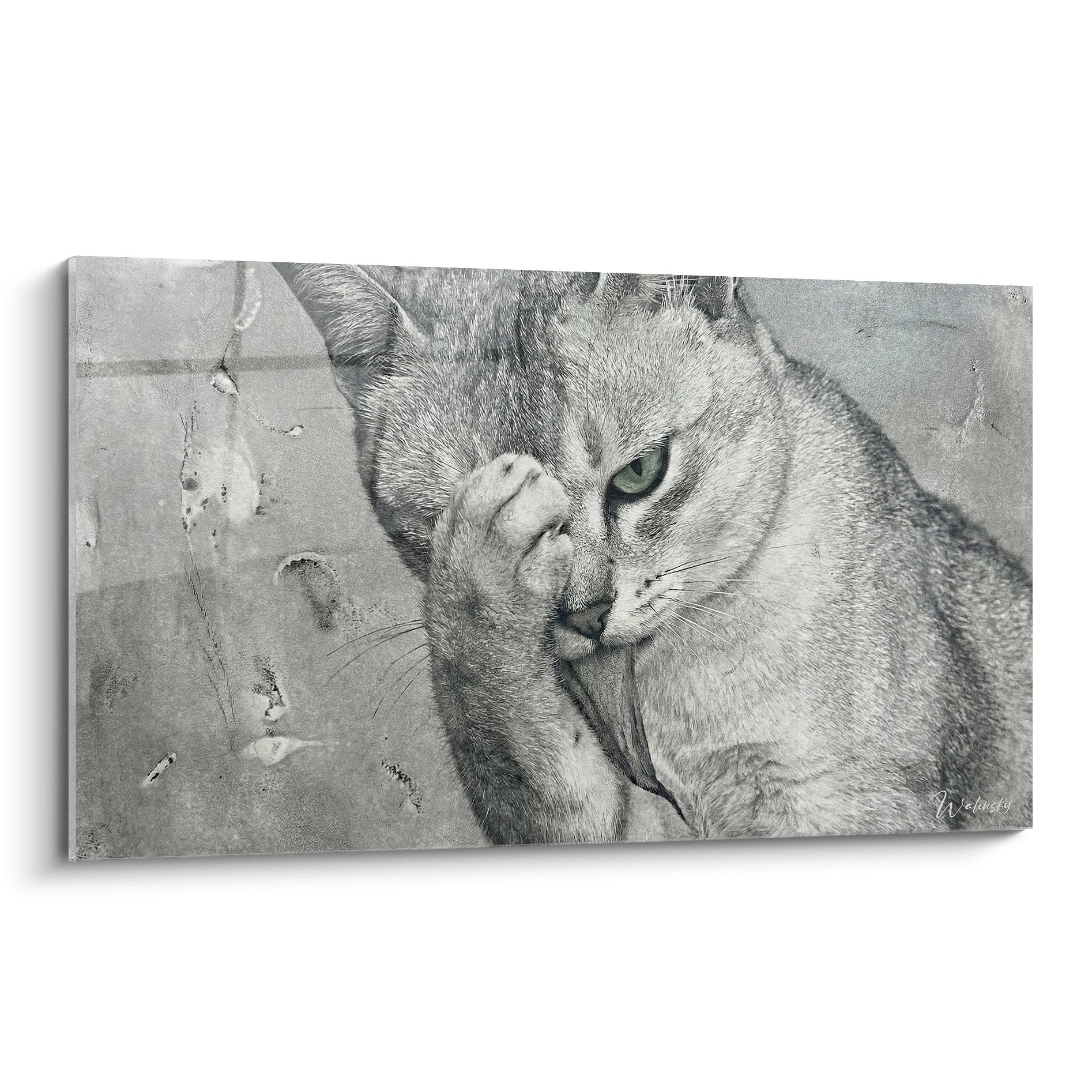 Tableau artistique chat Burmilla aux yeux verts en noir et blanc, regard intense et patte près du museau