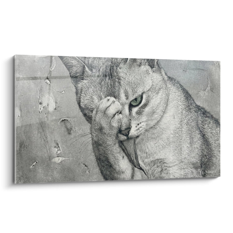 Tableau Chat Burmilla Yeux Verts - Regard Profond - Edition chat Burmilla