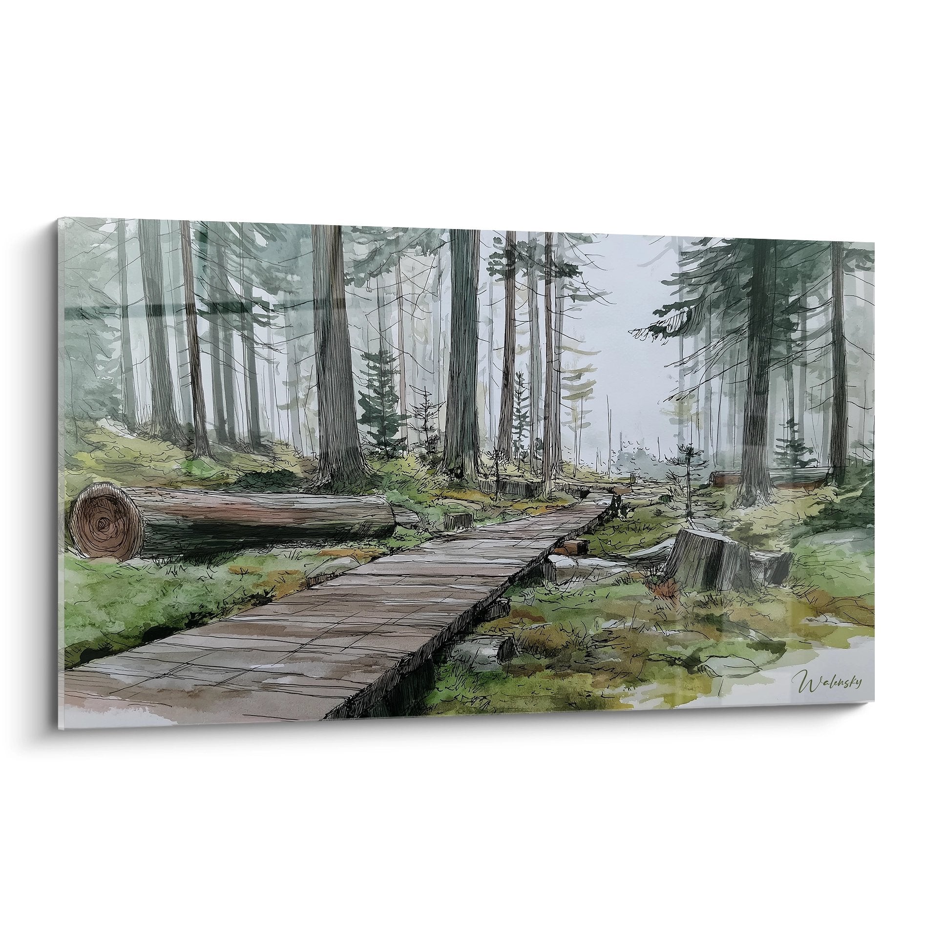 Tableau aquarelle forêt vosgienne avec chemin planches bois serpentant entre sapins et mousse verte