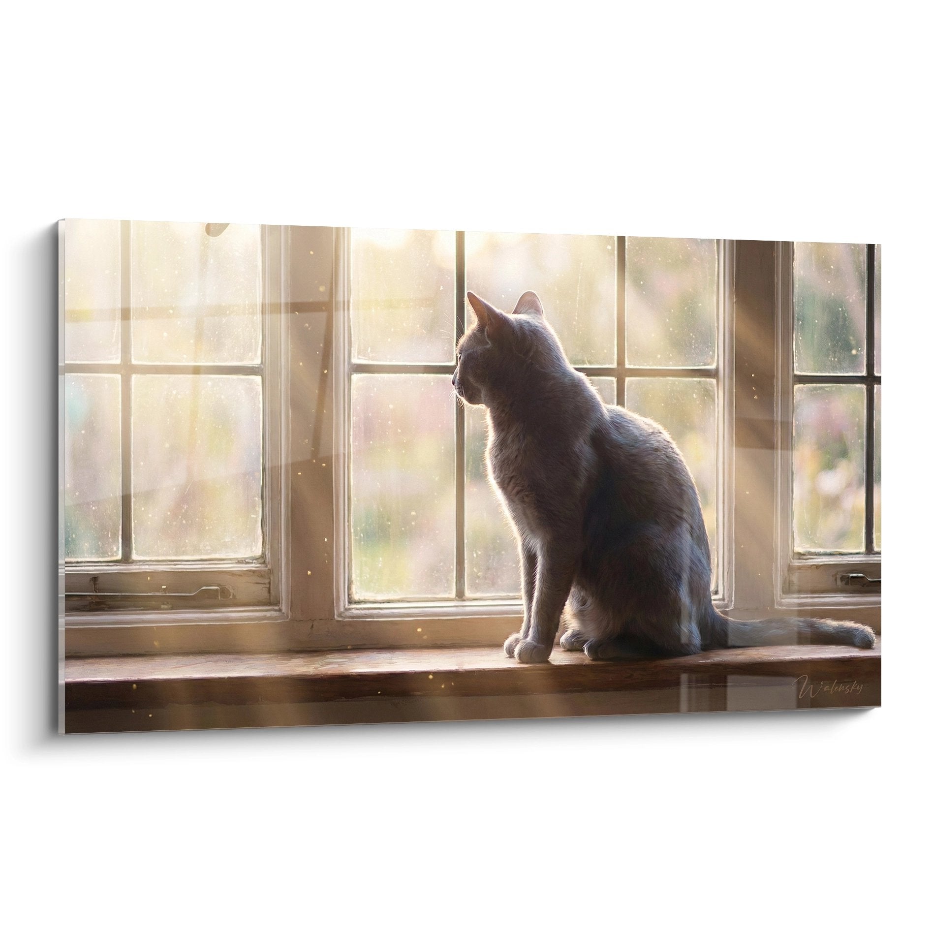 Chat Korat gris-bleu assis sur rebord de fenêtre dans lumière dorée matinale, tableau mural décoratif