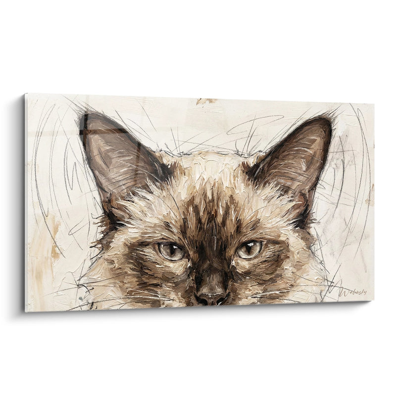 Ritratto di Chat Balinese di Tableau - Sguardo penetrante - Edizione chat Balinese