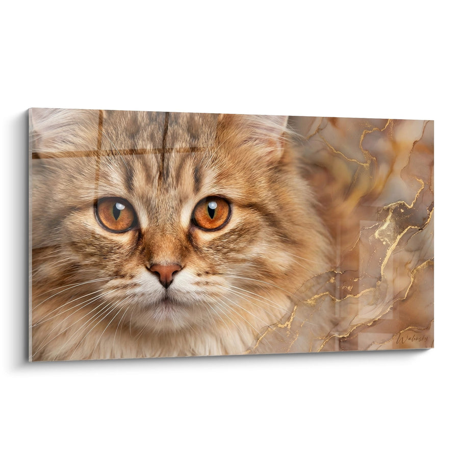 Tableau Chat Ragamuffin aux yeux ambrés - Regard Doré - Edition chat Ragamuffin