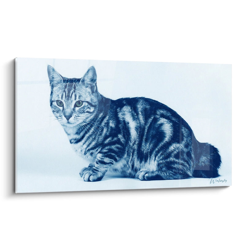 Tableau Chat American Bobtail Bleu - Portrait Artistique Monochrome - Edition chat American Bobtail