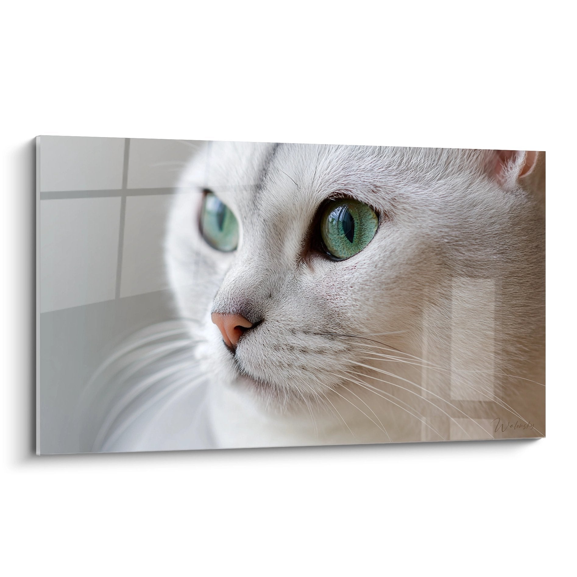 Tableau chat Burmilla yeux verts emeraude portrait rapproche pelage argente blanc art mural felin premium
