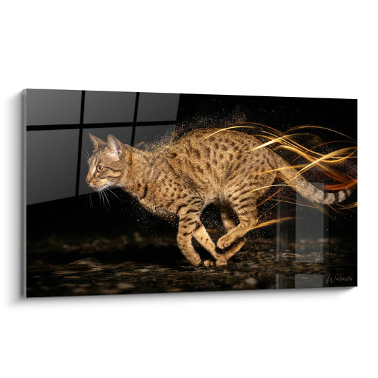Katten schilderij Ocicat in beweging - Gouden energie - Kat Ocicat editie