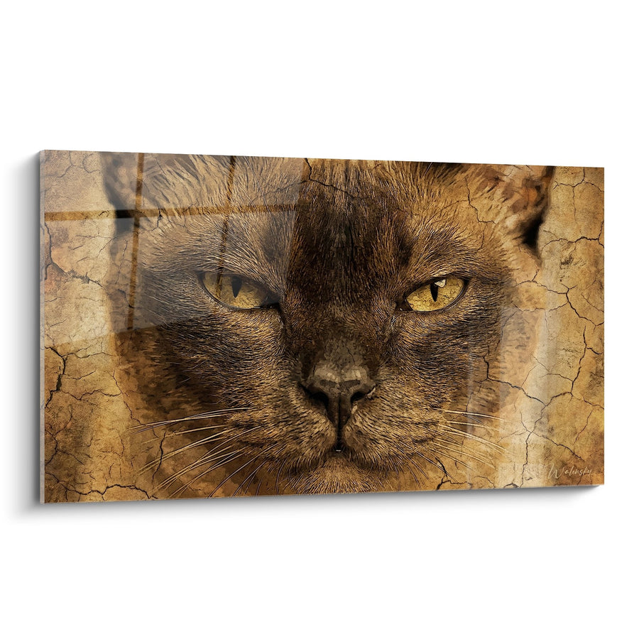 Tableau Chat Burmese Regard Perçant - Mystère Antique - Edition chat Burmese