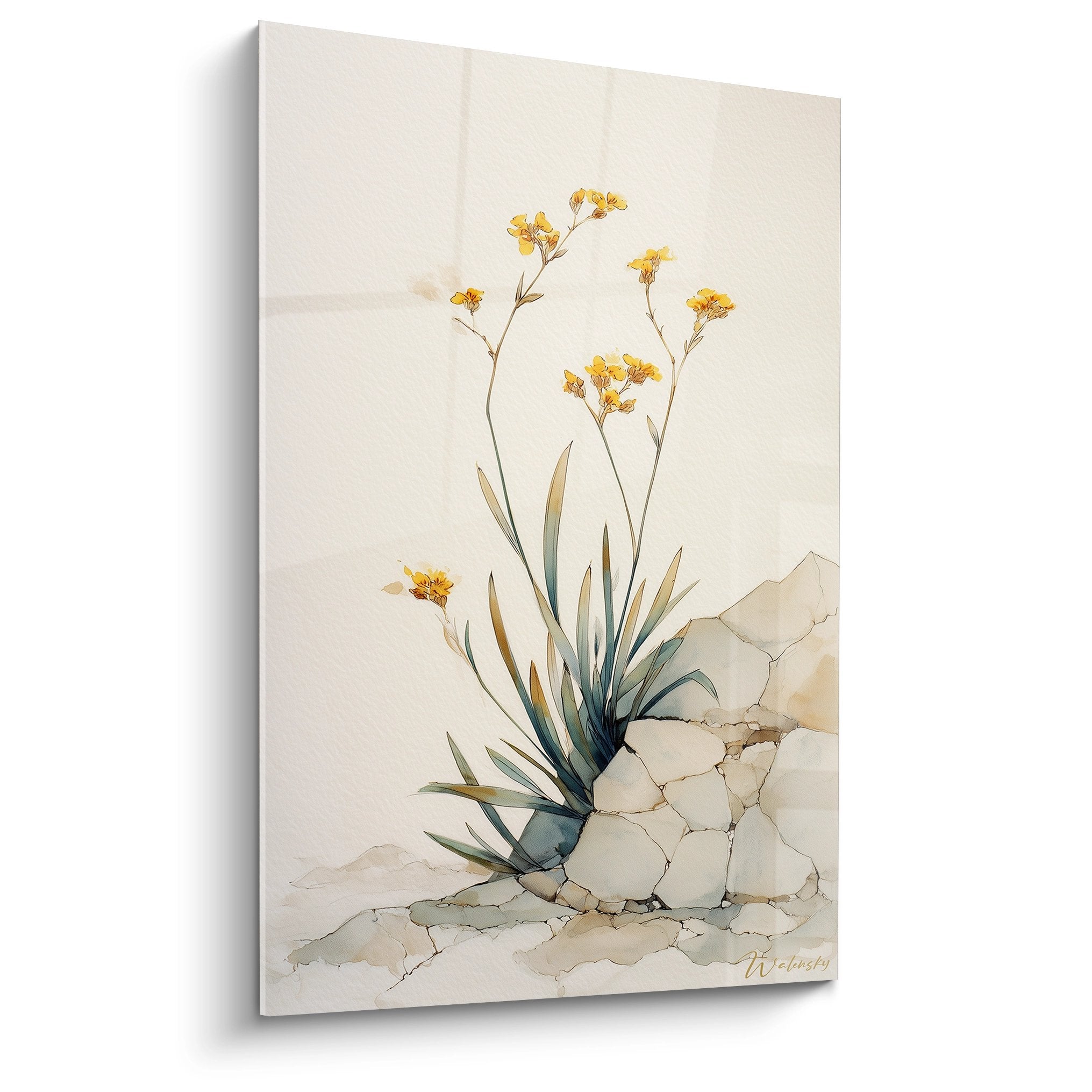 Aquarelle botanique plante mediterraneenne fleurs jaunes sur rochers - tableau decoration murale corse