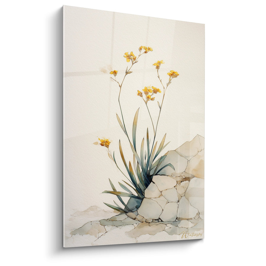 Tableau Plante Fleurs Jaunes - Aquarelle Botanique Méditerranéenne - Edition Corse