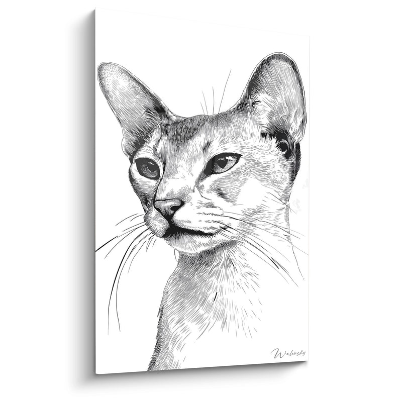 Abyssinian Cat Portrait Painting Black and White - Feline Elegance - Abyssinian Cat Edition
